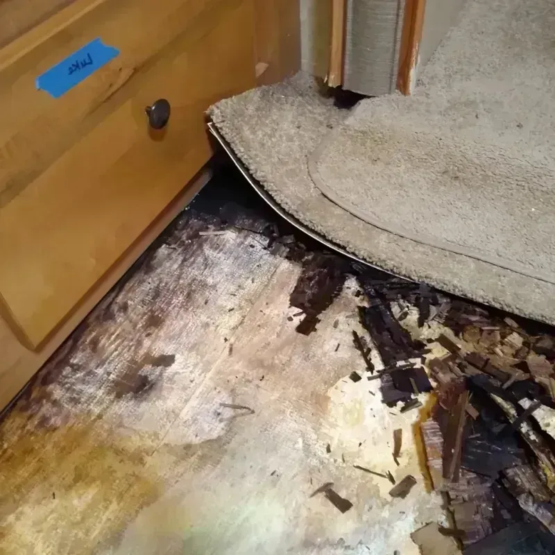 Wood Floor Water Damage in Oronoco, MN